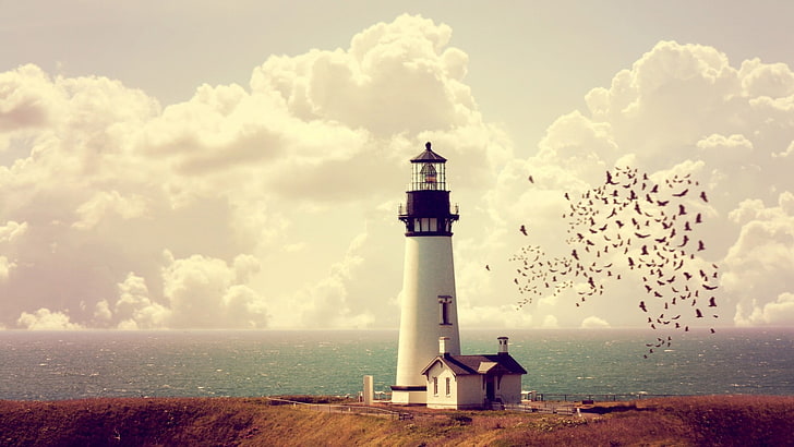 white and black lighthouse painting, nature, landscape, architecture