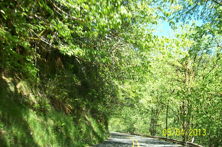 Beautiful Greens of Nature, blue-sky, roadway, trees, hillside