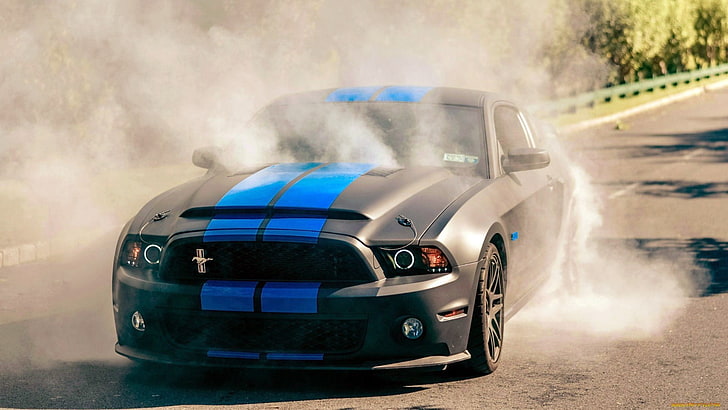black and blue Ford Mustang coupe, sports car, mode of transportation