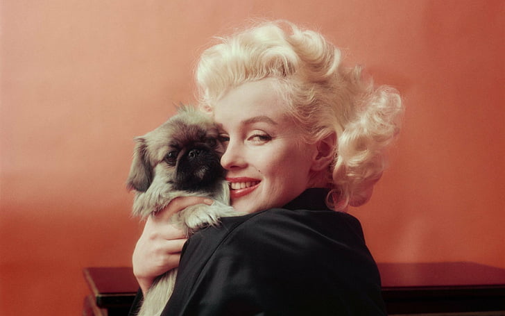 Actresses, Marilyn Monroe, Celebrity, Dog, Puppy, HD wallpaper