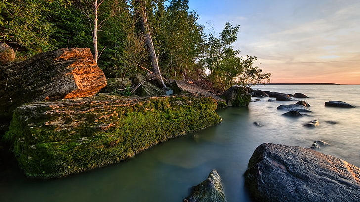 coast, water, beauty in nature, tree, rock, scenics - nature, HD wallpaper