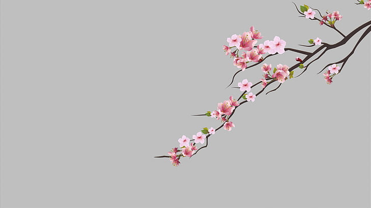 HD wallpaper: cherry trees, cherry blossom, minimalism, dots, Pink flower |  Wallpaper Flare
