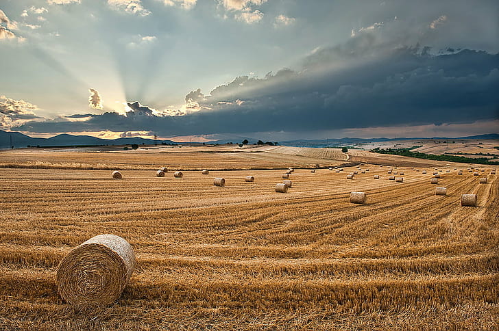 brown grain field during sunset, Hay, clouds, ουρανός