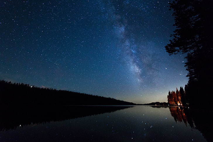 river and green trees, starry sky, night, stars, lake, star - Space