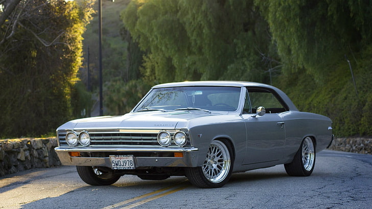 gray coupe, road, forest, grey, Chevrolet, side view, 1967, Chevelle, HD wallpaper