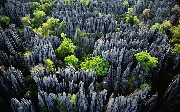 trees, rocks, Madagascar, Tsingy de Bemaraha National Park, HD wallpaper