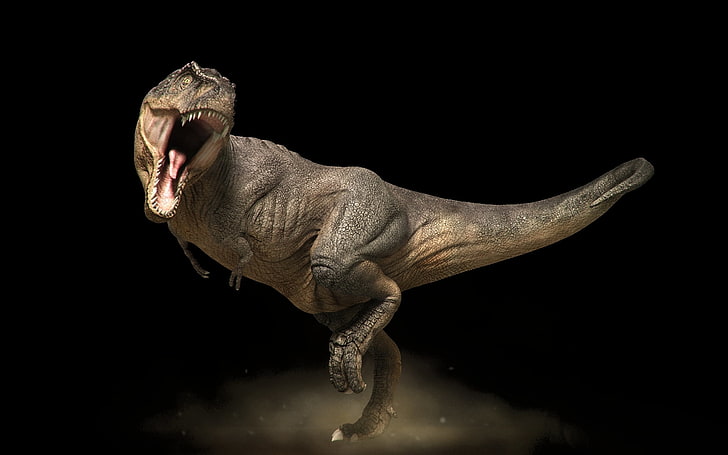 brown tyrannosaurus Rex, dark, mouth, stand, animal, dinosaur, HD wallpaper