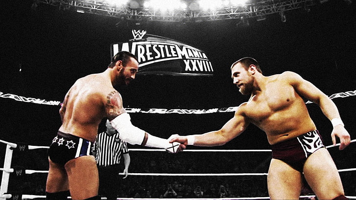 Daniel Bryan, wrestling, WWE, CM Punk, competition, two people