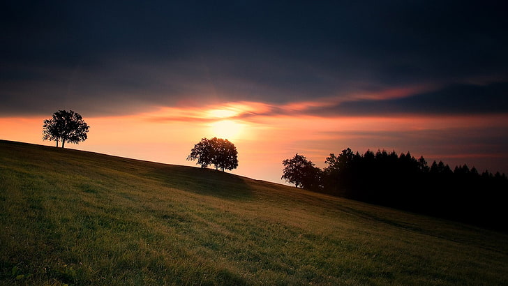 green grass field and trees silhouette photo, landscape, sky