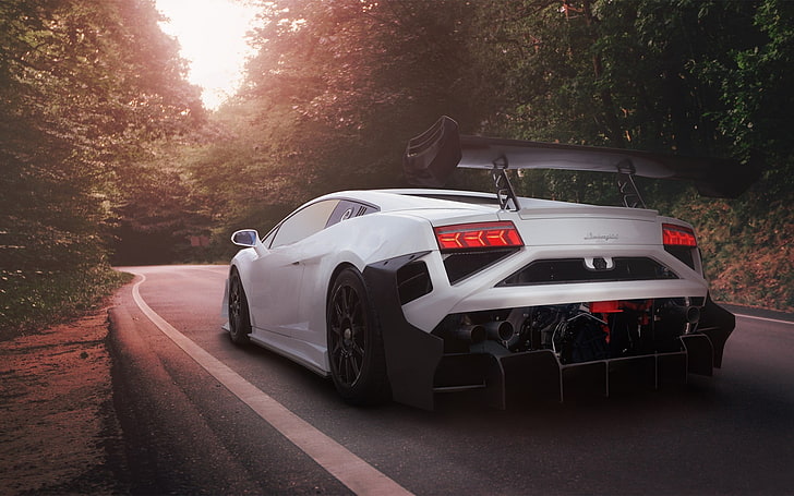white sport car on road going to forest, Lamborghini Gallardo