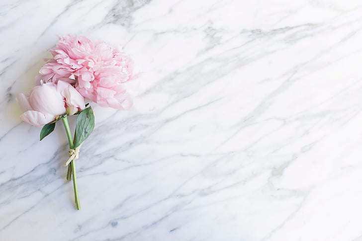 flowers, bouquet, marble, pink, peonies