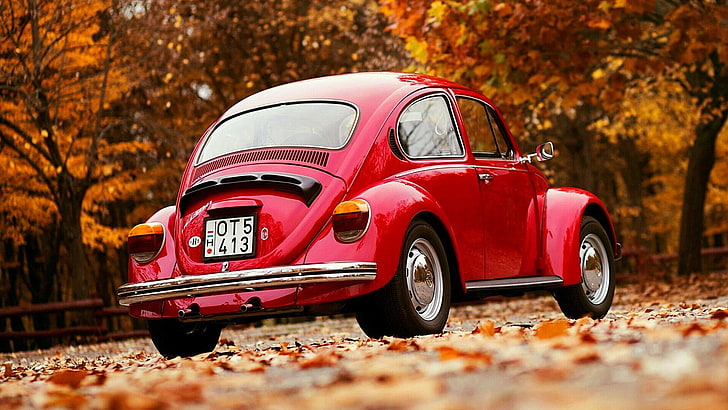 volkswagen, volkswagen beetle, park, red volkswagen, vintage, HD wallpaper