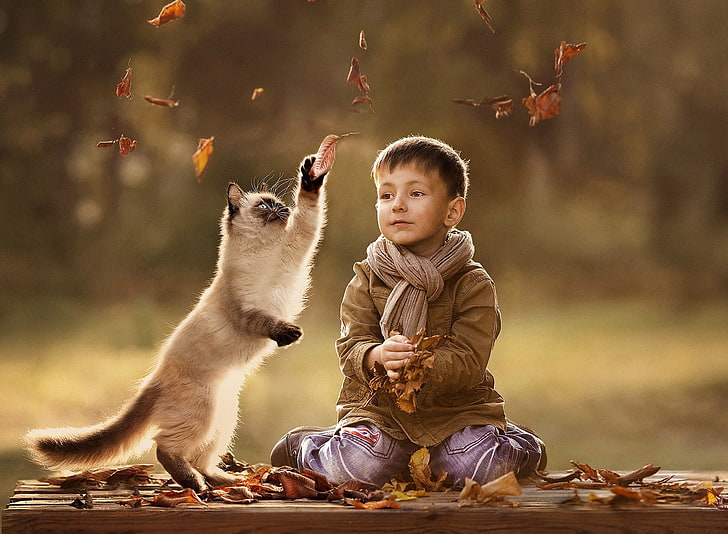 Siamese cat and toddler's brown jacket, children, leaves, Elena Shumilova, HD wallpaper
