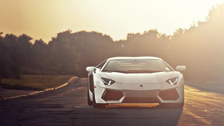 white luxury car, Lamborghini, Lamborghini Aventador, vehicle
