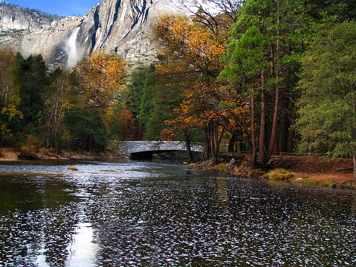 body of water surrounded by forest trees under blue sky, yosemite national park, yosemite national park, HD wallpaper