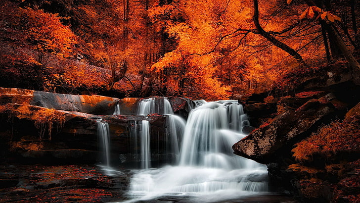 water, nature, waterfall, leaves, autumn, stream, tree, deciduous