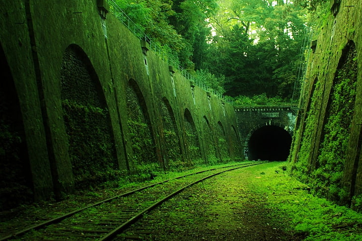 brown train tunnel, abandoned, railway, tree, plant, green color