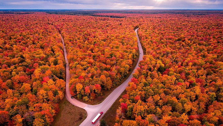 autumn landscape, drone photography, forest, road, autumn colors, HD wallpaper