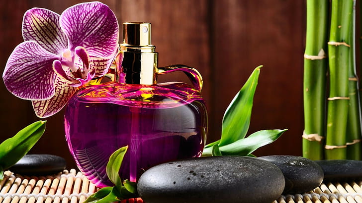 photography, Perfume, flower, Bamboo, stone, purple moth orchid; perfume glass bottle; bamboo grass; black stone