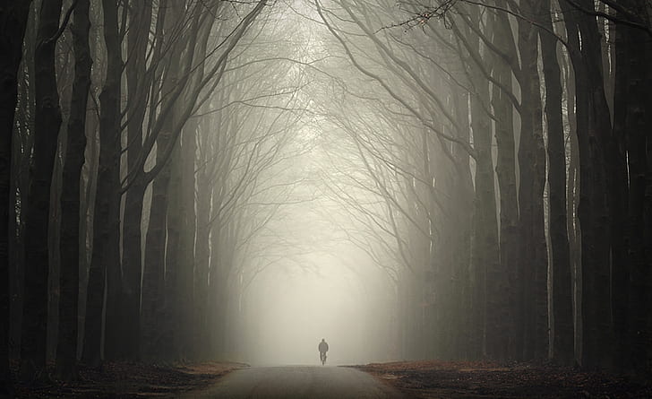 The Loneliness Of Autumn, Seasons, trees, fall, bicycle, dark, HD wallpaper