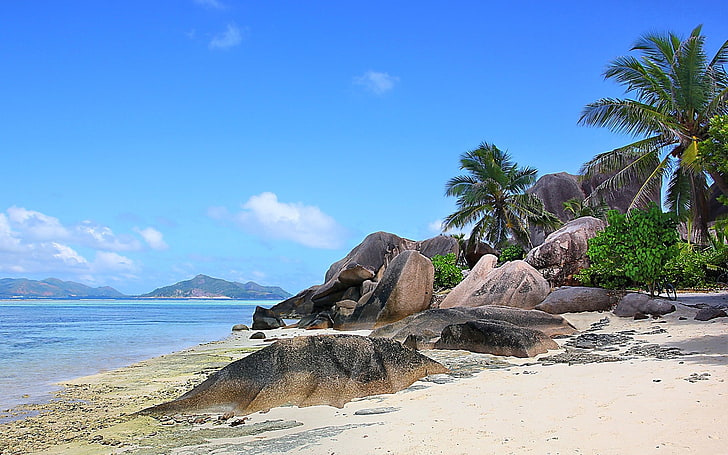 coconut tree, nature, landscape, Seychelles, island, beach, rock, HD wallpaper