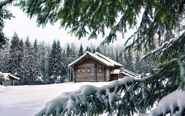 background nature image 1920x1200, snow, winter, cold temperature, HD wallpaper