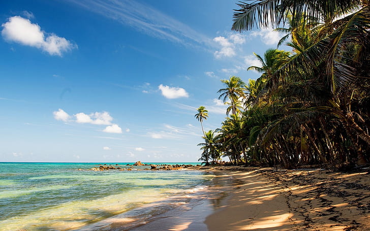 Tropical, beach, sand, palm trees, rocks, sea