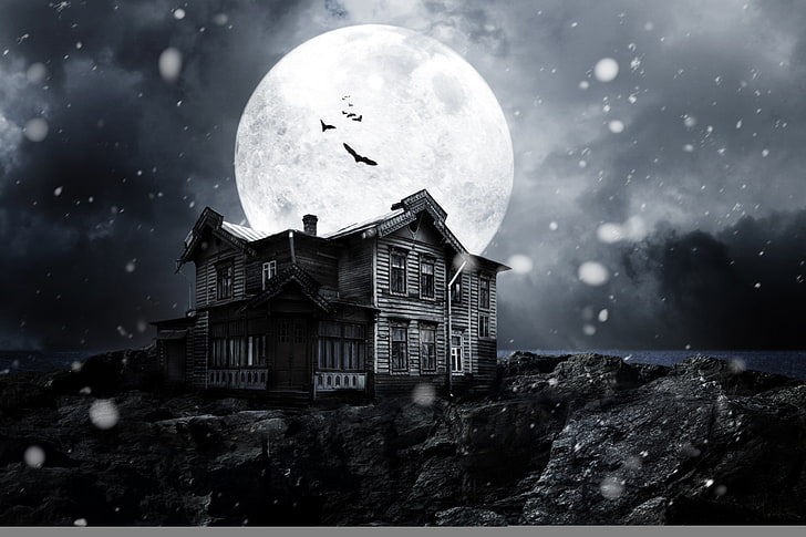 brown house, snow, night, the moon, dark, horror, moonlight, bats