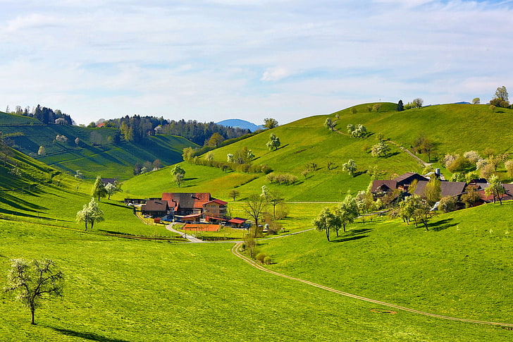 green grass field, nature, landscape, hills, trees, house, clouds, HD wallpaper
