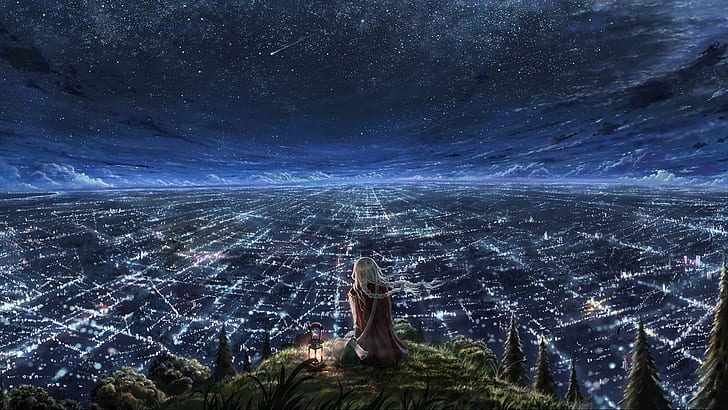 Anime Girl, Starry Night, Lights, HD wallpaper