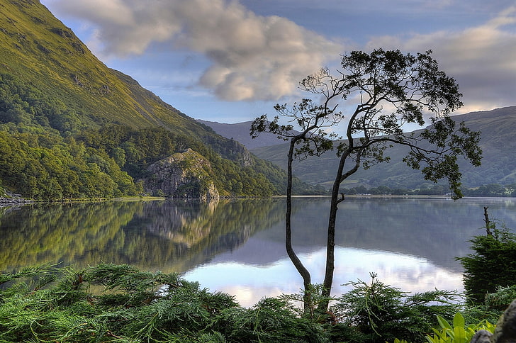 mountains, lake, reflection, tree, England, Wales, Snowdonia, HD wallpaper