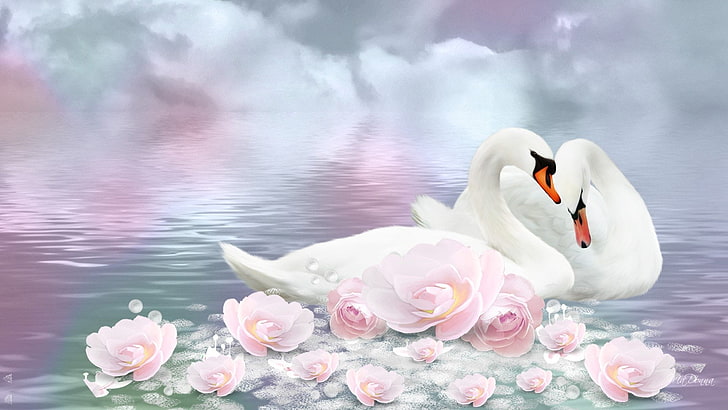 Free download Tag Swan Wallpapers Backgrounds Photos Imagesand Pictures for  free [1600x1000] for your Desktop, Mobile & Tablet | Explore 46+ Swan  Wallpapers | Swan Wallpaper, Black Swan Wallpaper, Vintage Swan Wallpaper