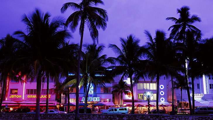 beach, Evening, Grand Theft Auto Vice City, Hotels, neon, Palm Trees