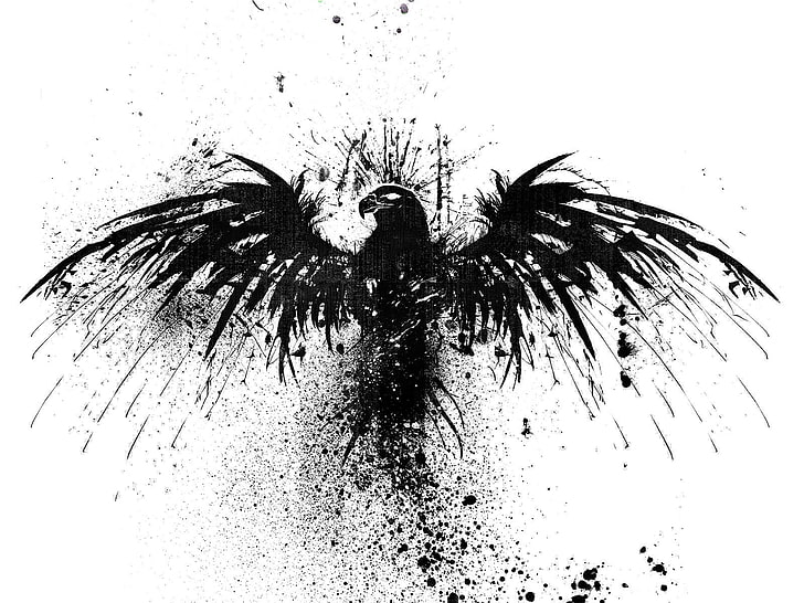 black hawk illustration, white, Gladius, white background, no people