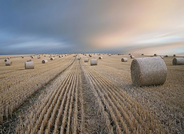 Summer hay field, photo of hay bales, summer landscape, HD wallpaper