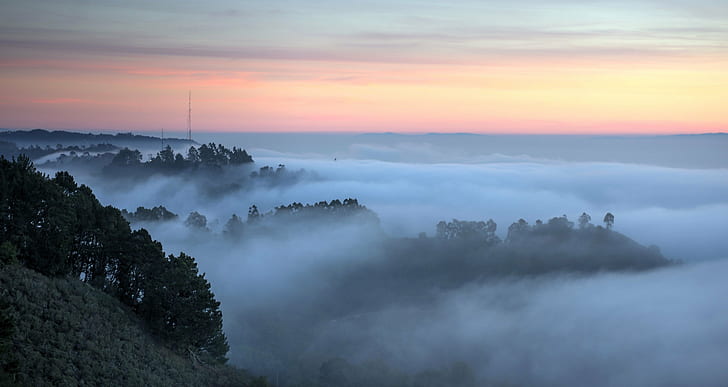 aerial photography of trees and fog, Grizzly Peak, Berkeley  California, HD wallpaper