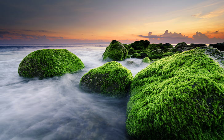 Masceti Beach, Ketewel, Bali, Indonesia, ocean algae, rocks, HD wallpaper
