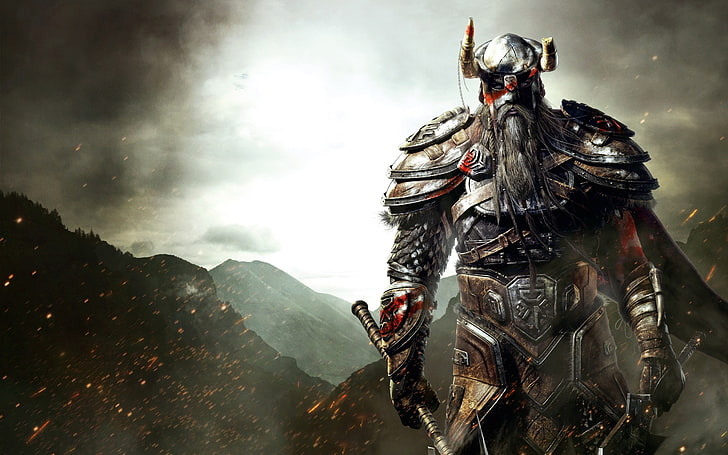 viking knight digital wallpaper, The Elder Scrolls, fantasy art