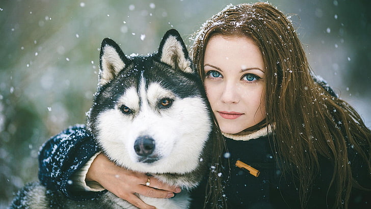 white and black wolf, Siberian Husky, hugging, dog, women outdoors