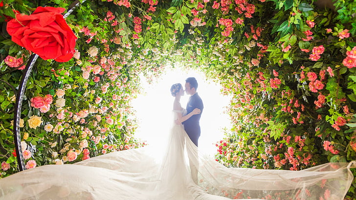 petal, love, romance, floral design, wedding dress, spring, HD wallpaper