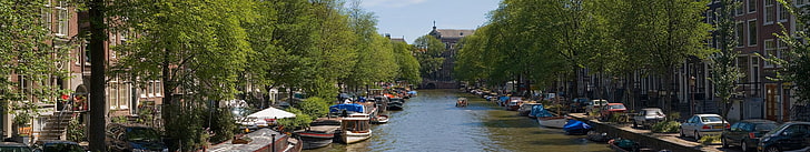 Amsterdam, Netherlands, Dutch, boat, canal, water, trees, summer, HD wallpaper