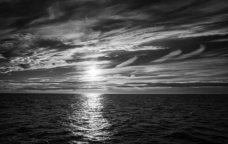 grayscale photography of sea, svalbard, svalbard, leica, walrus