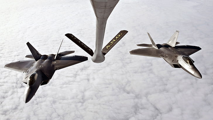 22 Raptor 2560x1440 px air refueling aircraft f Mid Military
Aircraft Animals Dogs HD Art
