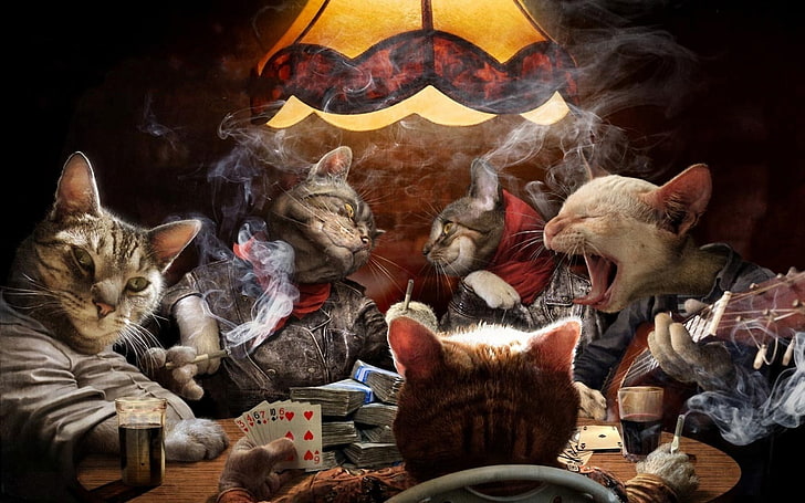five cats playing card games illustration, smoke, guitar, money, HD wallpaper