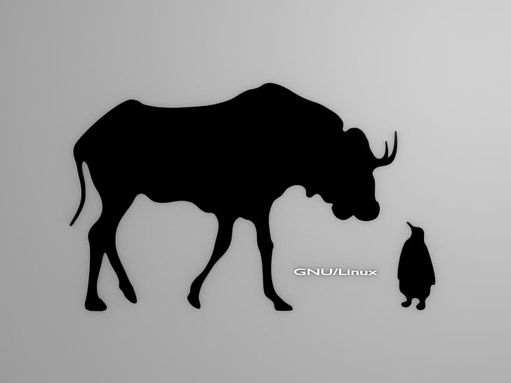 water buffalo and penguin illustration, Linux, GNU, Tux, indoors