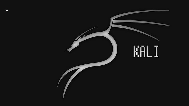 Technology, Kali Linux