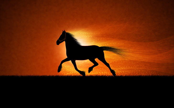 Running horse, silhouette of horse, HD wallpaper