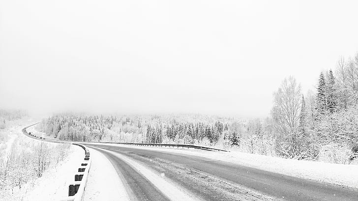 white, snow, winter, trees, road, minimalism, forest, monochrome