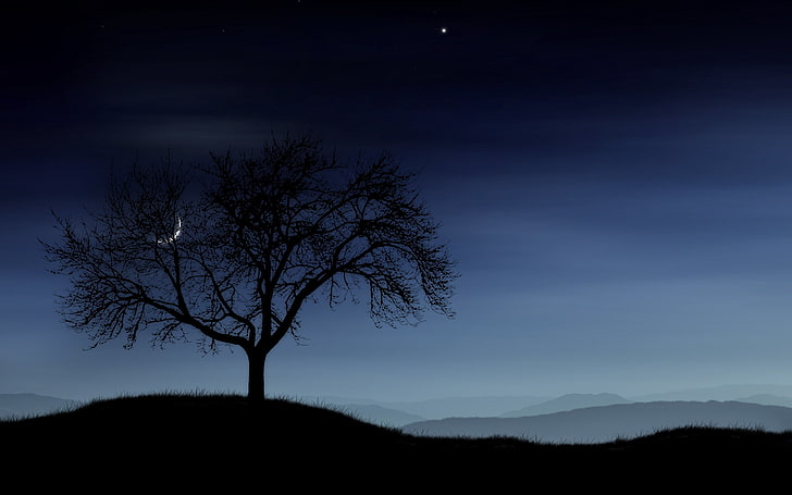 silhouette of tree, night, lonely, stars, moon, fog, nature, landscape, HD wallpaper