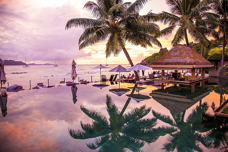 4k, Seychelles, palms, travel, La Digue, Infinity Pool, 8k